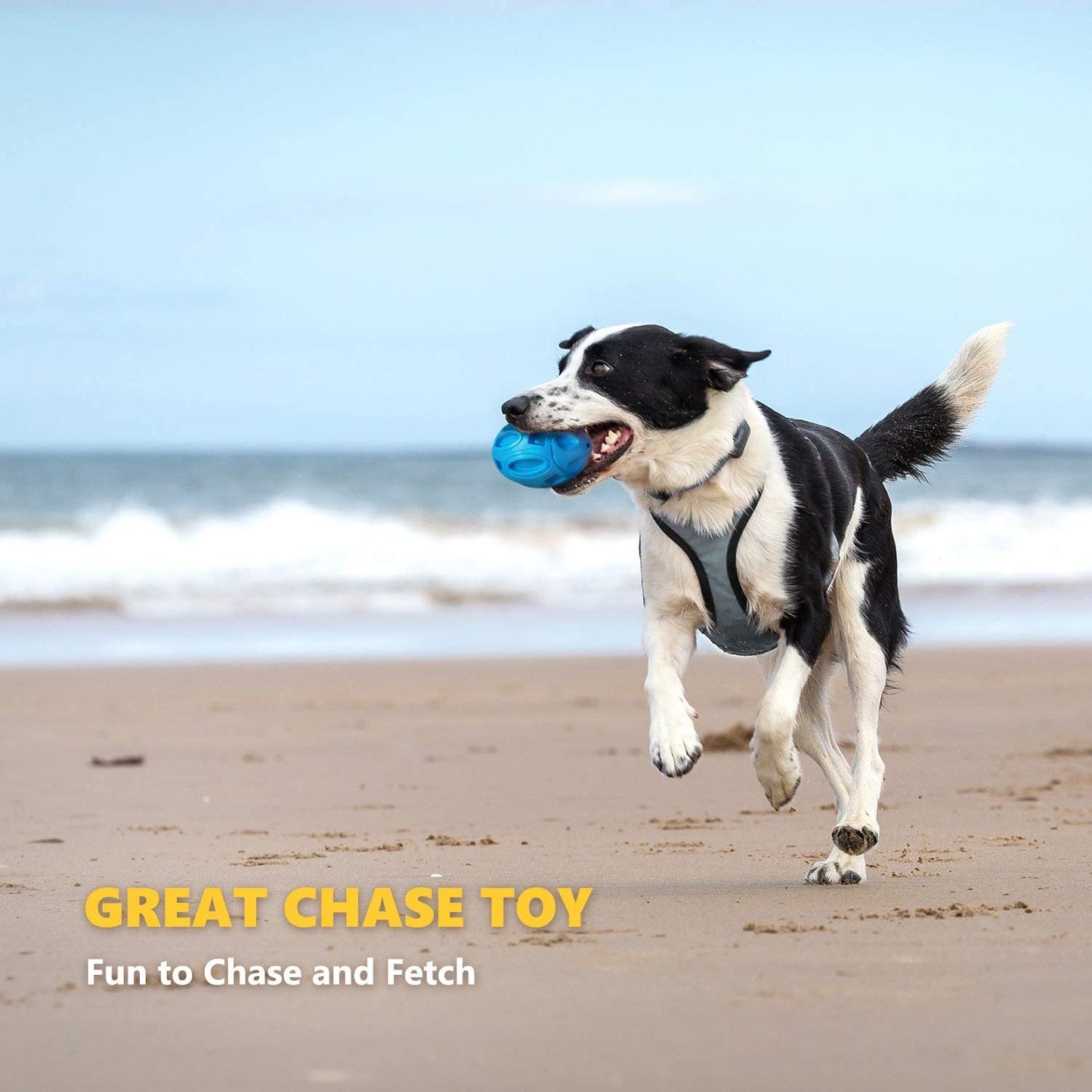 Durable Rubber Dog Ball: Sounding Rugby Toy for Playtime Fun