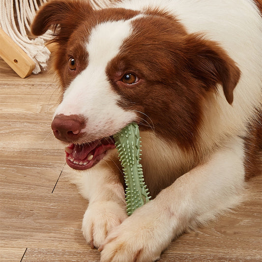 Kong Dog Toothbrush Chew Toy: Cleaning and Fun for Dogs