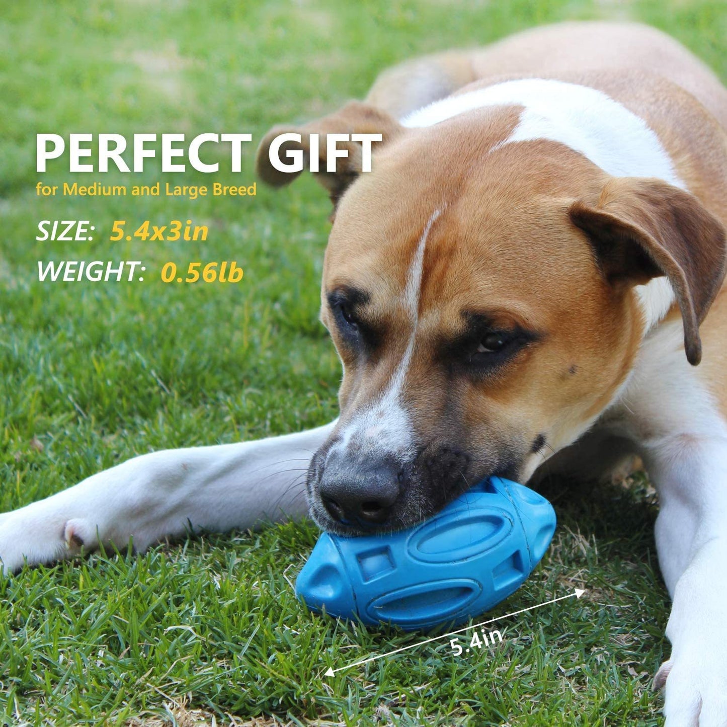 Durable Rubber Dog Ball: Sounding Rugby Toy for Playtime Fun