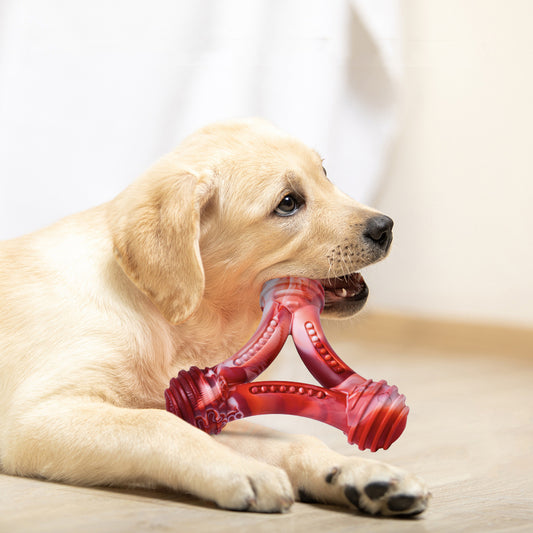 Nylon Triangle Ring Dog Chew Toy: Durable and Entertaining