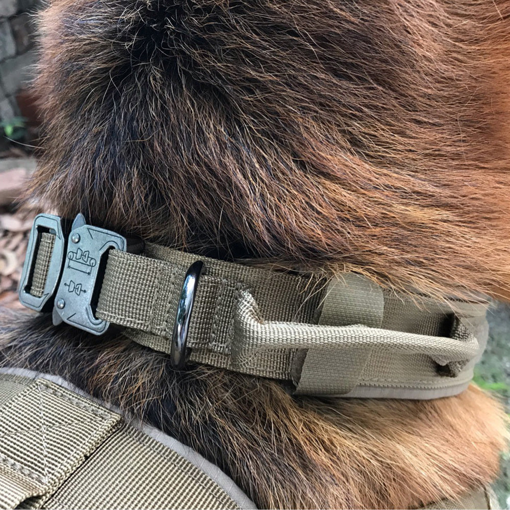 Tactical Dog Collar: Durable, Adjustable, Double Protection, Various Colors