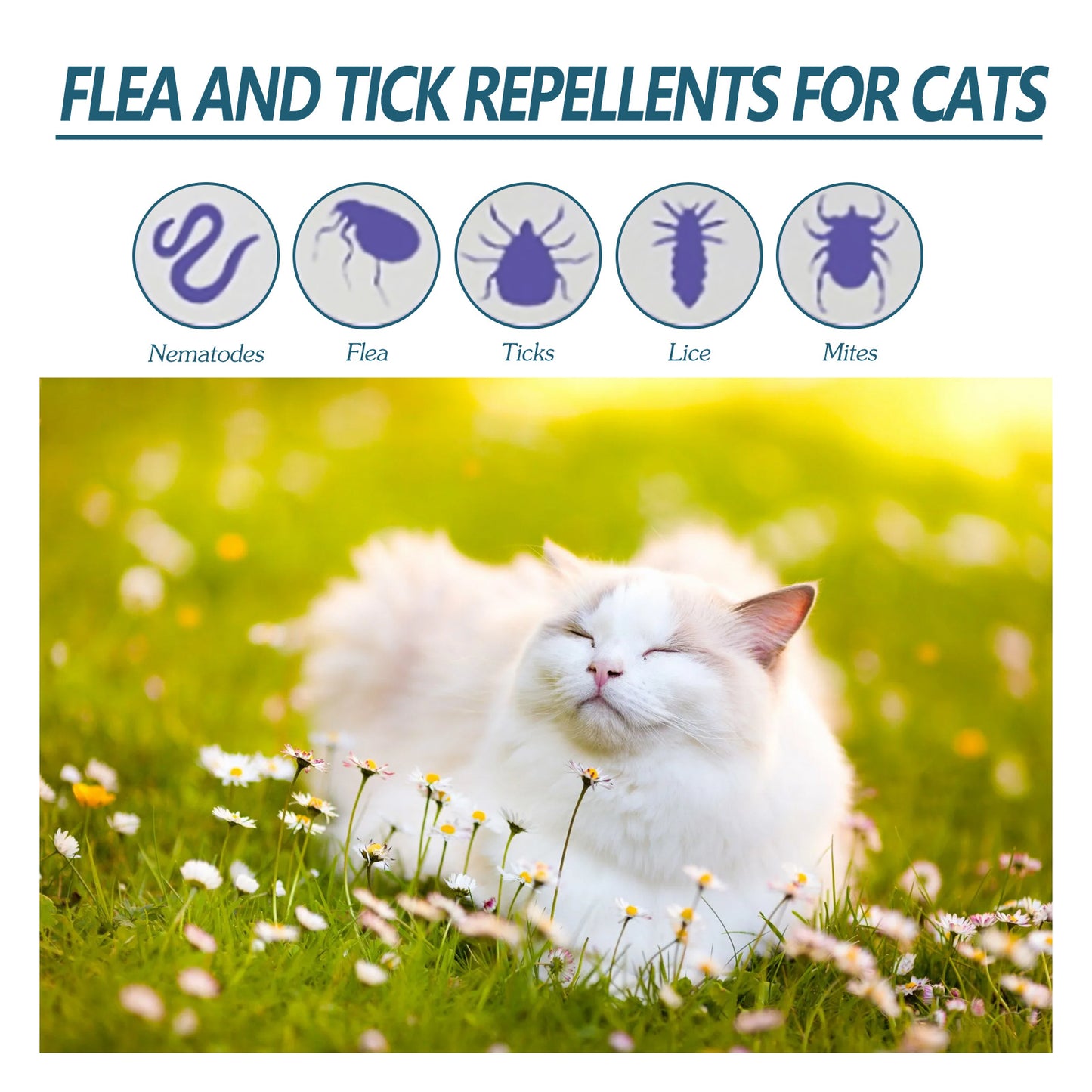 Advanced Pet Flea & Tick Repellent